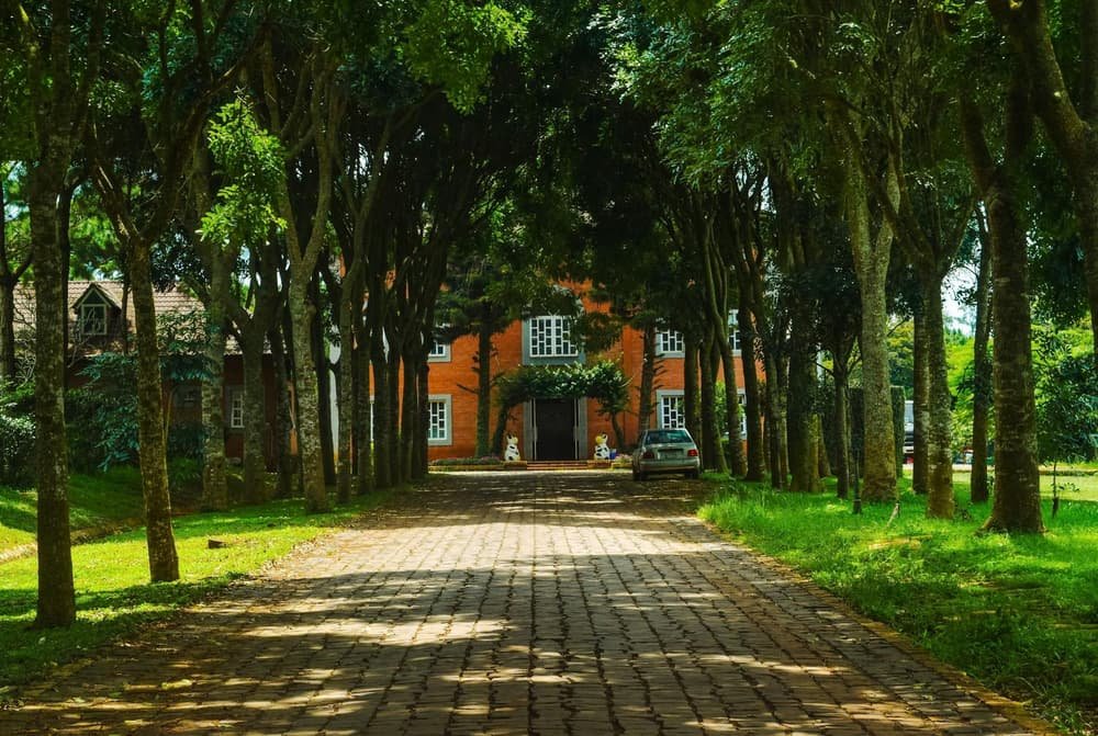 Garage door services in Ridgebury